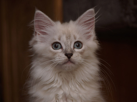 Sally am 3.8.2014